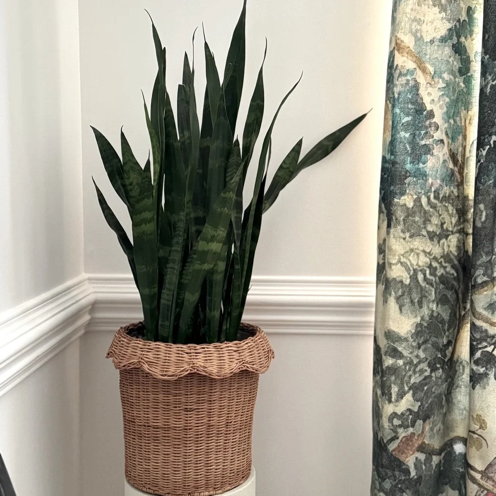 NWT | Scalloped Rattan Planter Basket - Hearth & Hand™ with Magnolia